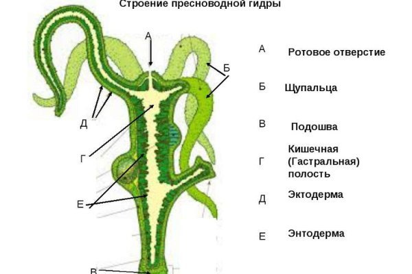 Kraken рабочая ссылка onion