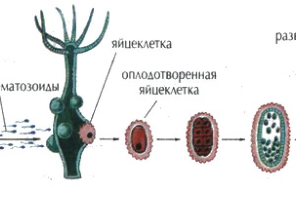 Кракен зеркало рабочее onion