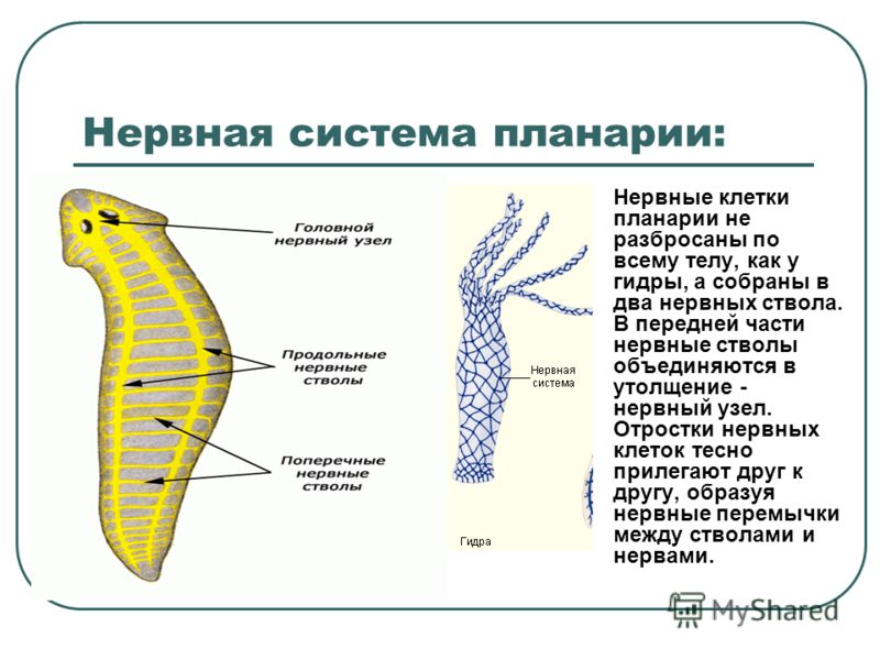 Кракен зеркало впн
