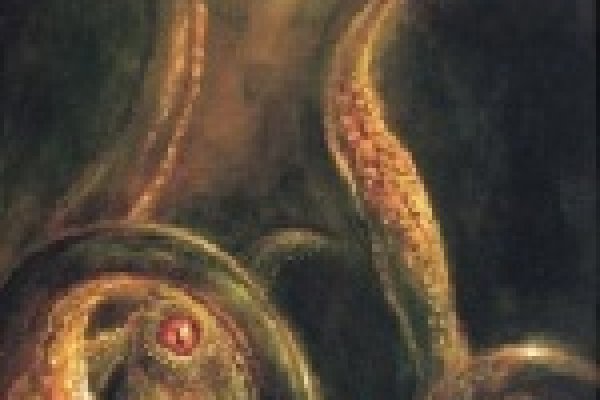 Kraken tor зеркало