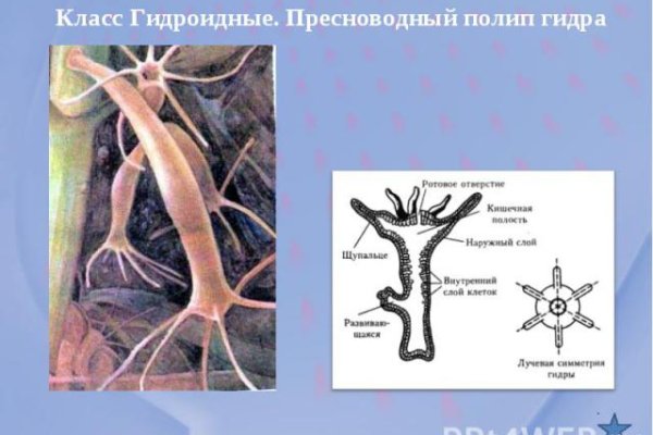 Кракен ссылка market pw