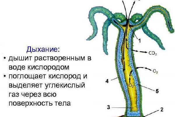 Кракен что там продают