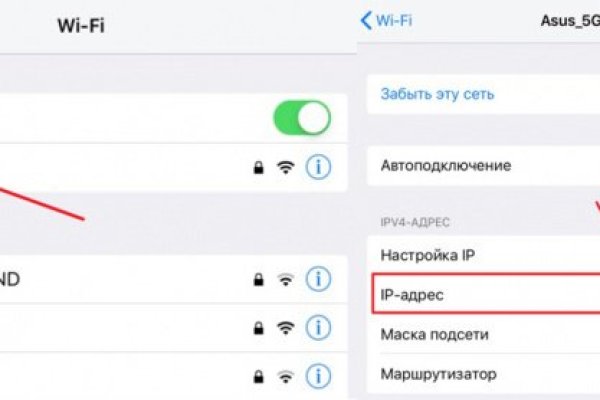 Кракен лег
