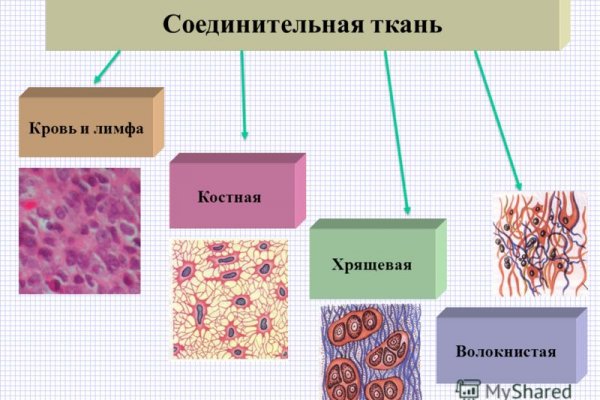 Можно вывести деньги с кракена
