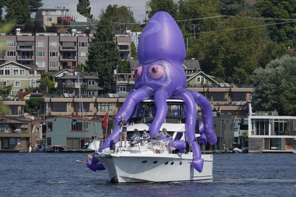 Www kraken 20at net