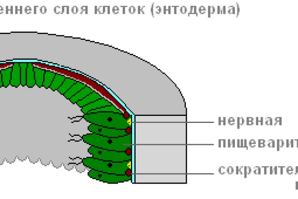 Кракен зеркало впн