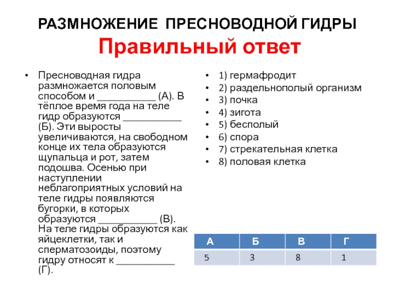 Кракен это современный супернет маркет плейс